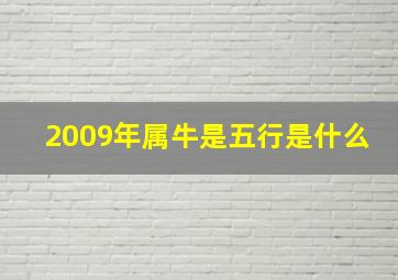 2009年属牛是五行是什么