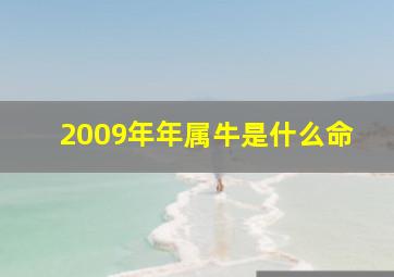 2009年年属牛是什么命