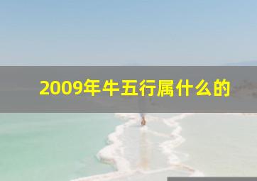 2009年牛五行属什么的