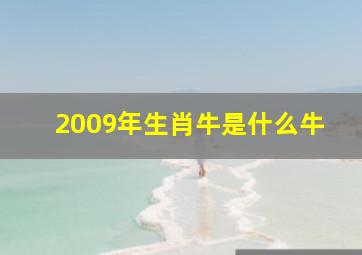 2009年生肖牛是什么牛