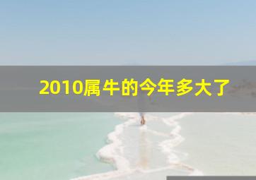 2010属牛的今年多大了