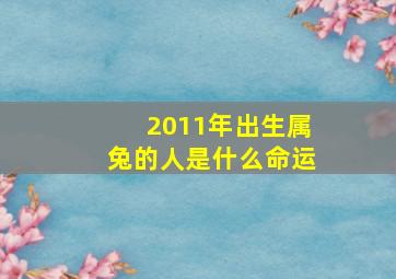 2011年出生属兔的人是什么命运