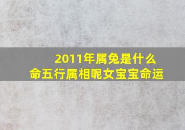 2011年属兔是什么命五行属相呢女宝宝命运