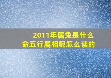 2011年属兔是什么命五行属相呢怎么读的