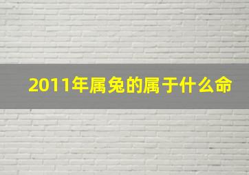 2011年属兔的属于什么命