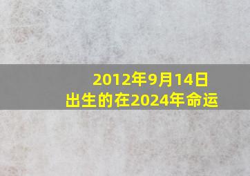 2012年9月14日出生的在2024年命运