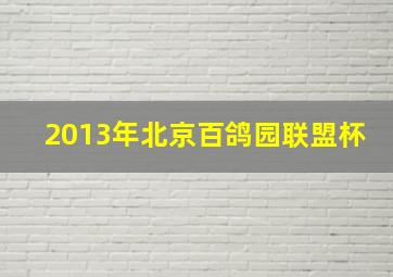 2013年北京百鸽园联盟杯