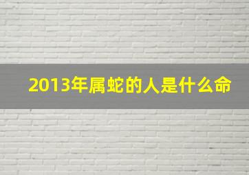 2013年属蛇的人是什么命