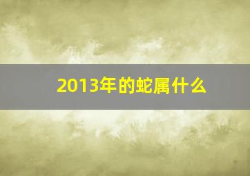 2013年的蛇属什么