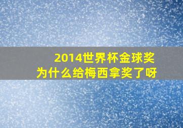 2014世界杯金球奖为什么给梅西拿奖了呀