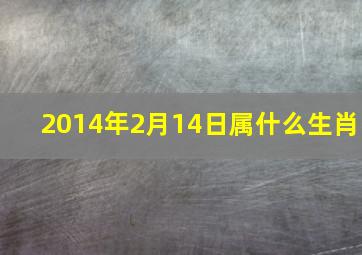 2014年2月14日属什么生肖