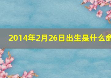 2014年2月26日出生是什么命