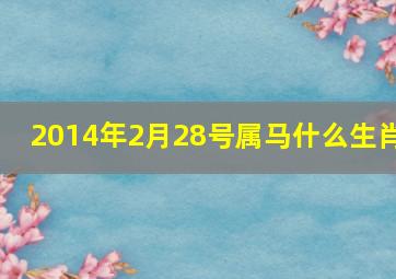 2014年2月28号属马什么生肖