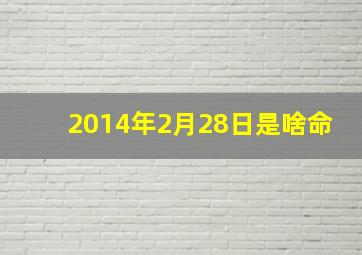 2014年2月28日是啥命