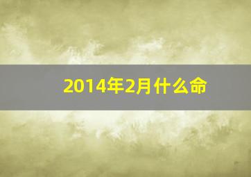 2014年2月什么命