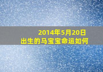 2014年5月20日出生的马宝宝命运如何