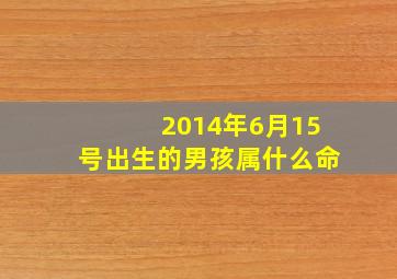 2014年6月15号出生的男孩属什么命