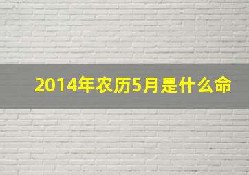 2014年农历5月是什么命