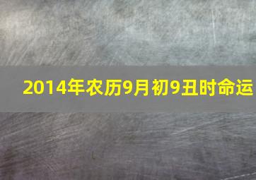 2014年农历9月初9丑时命运