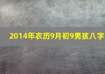 2014年农历9月初9男孩八字