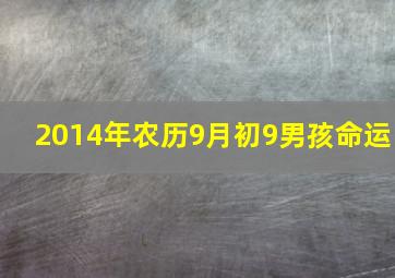 2014年农历9月初9男孩命运