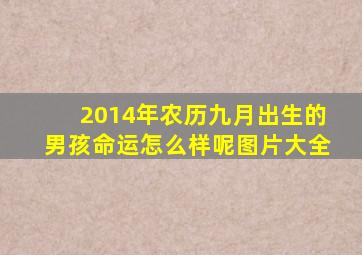 2014年农历九月出生的男孩命运怎么样呢图片大全