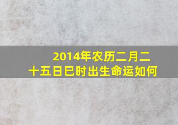 2014年农历二月二十五日巳时出生命运如何