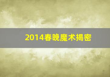 2014春晚魔术揭密