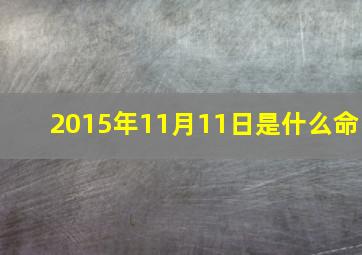 2015年11月11日是什么命