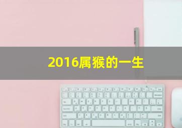 2016属猴的一生