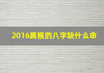 2016属猴的八字缺什么命