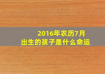 2016年农历7月出生的孩子是什么命运