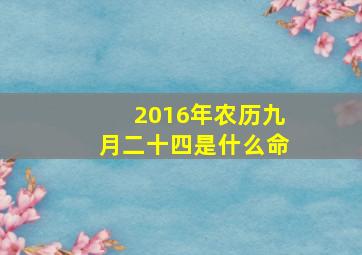 2016年农历九月二十四是什么命