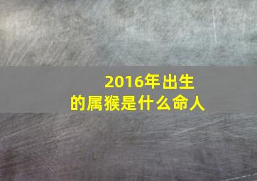 2016年出生的属猴是什么命人