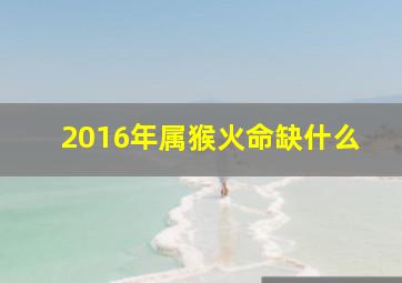 2016年属猴火命缺什么