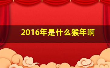 2016年是什么猴年啊