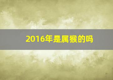 2016年是属猴的吗