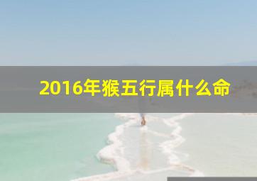 2016年猴五行属什么命