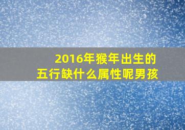 2016年猴年出生的五行缺什么属性呢男孩