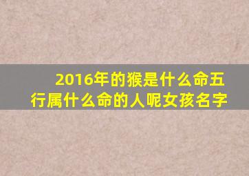 2016年的猴是什么命五行属什么命的人呢女孩名字