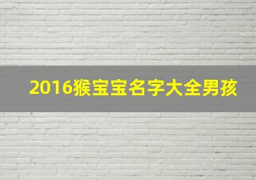 2016猴宝宝名字大全男孩