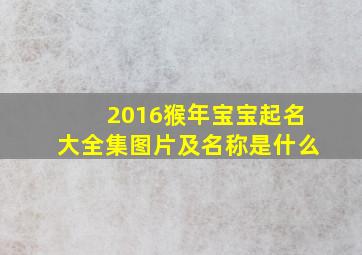 2016猴年宝宝起名大全集图片及名称是什么