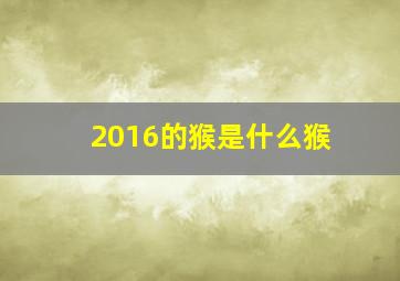 2016的猴是什么猴