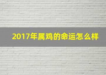 2017年属鸡的命运怎么样