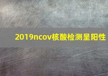 2019ncov核酸检测呈阳性