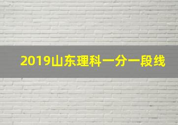 2019山东理科一分一段线