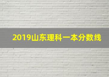 2019山东理科一本分数线