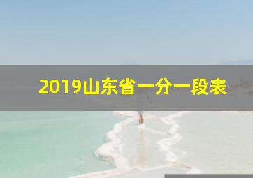 2019山东省一分一段表