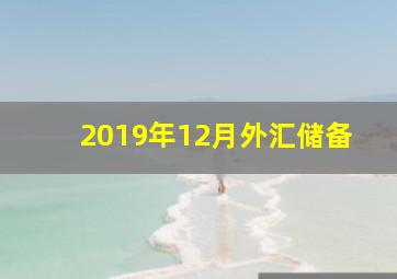 2019年12月外汇储备