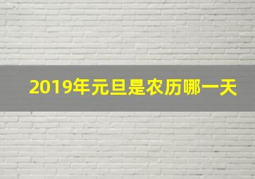 2019年元旦是农历哪一天